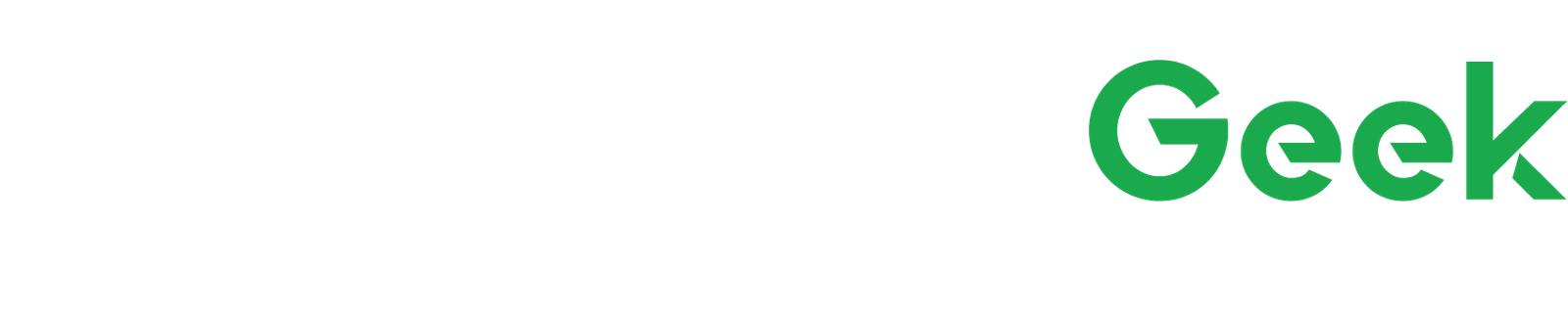 TechnoGeek Services